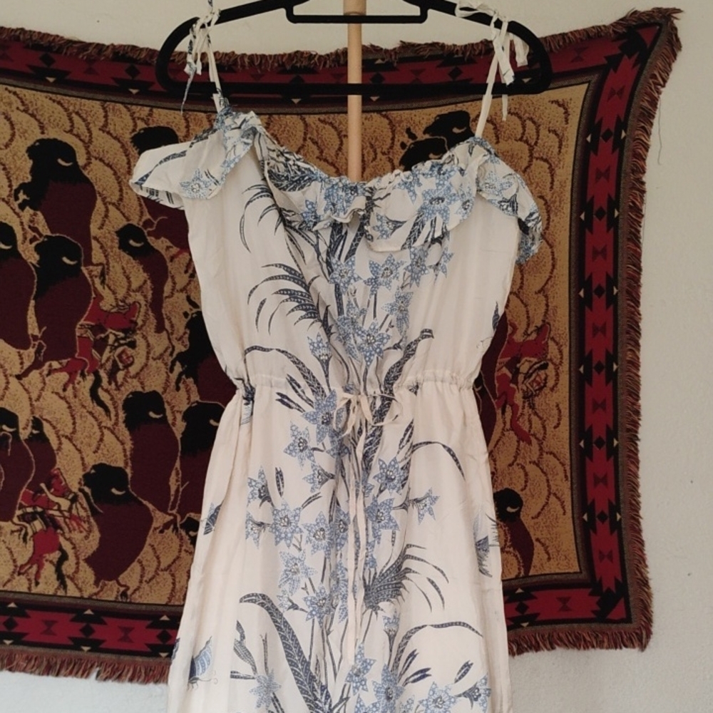 Zara Blue And Cream Silk Maxi dress